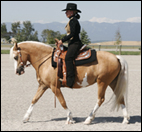 Talywern Legally Blonde