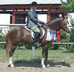 Cindy DiBrino with Gayfields The Sleuth